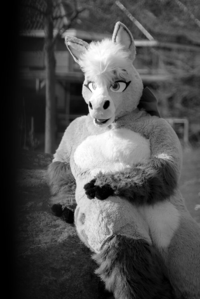 Studio Nudique - lookbook furry