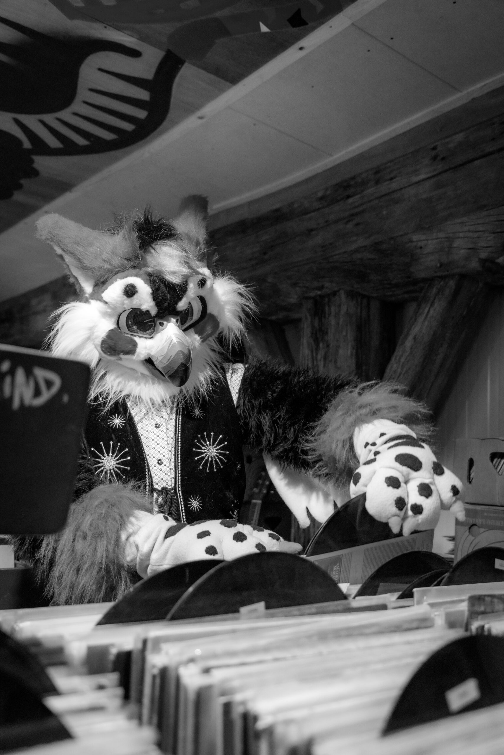 Studio Nudique - lookbook furry